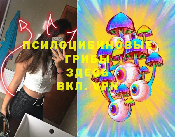 дживик Сатка