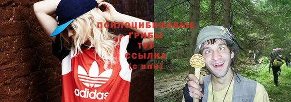 эйфоретик Гусев