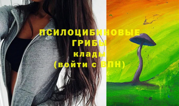 2c-b Абинск