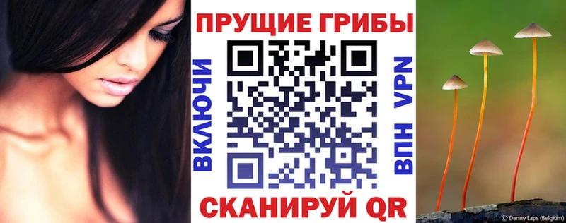 Псилоцибиновые грибы ЛСД  закладка  Болохово 